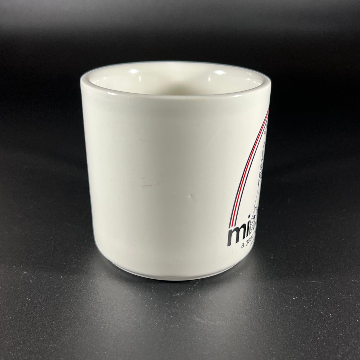 Vintage Souvenir Mug from Minnesota