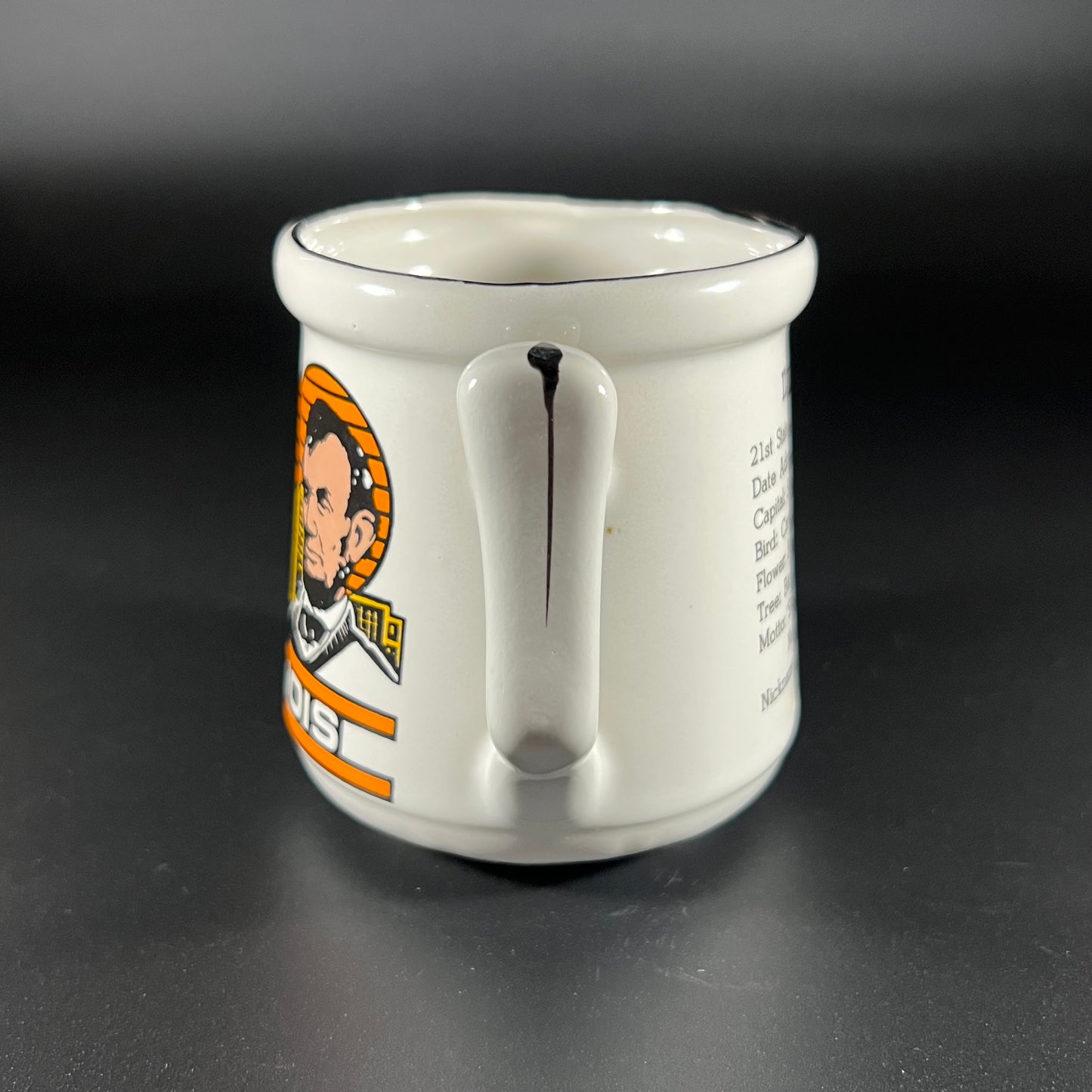 Vintage Souvenir Mug from Illinois