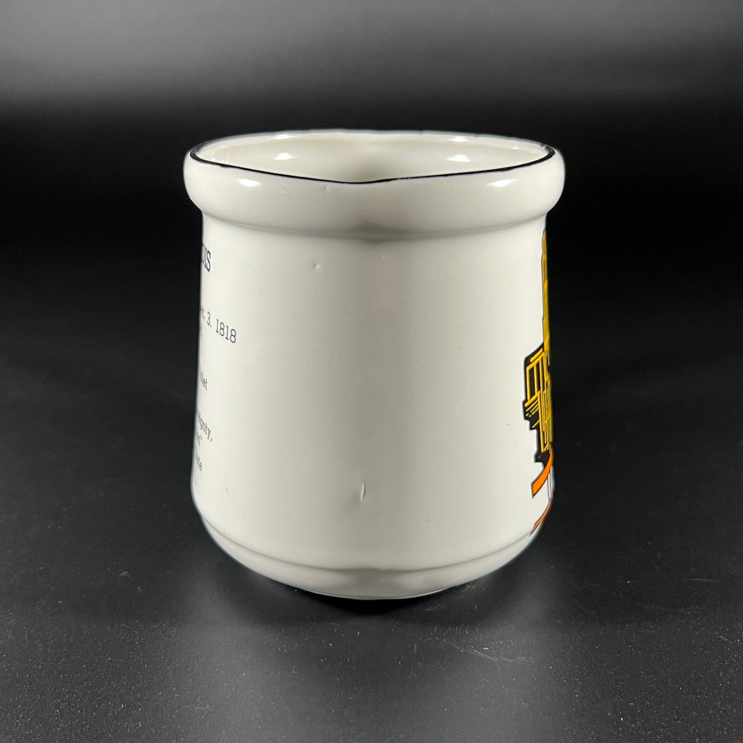 Vintage Souvenir Mug from Illinois