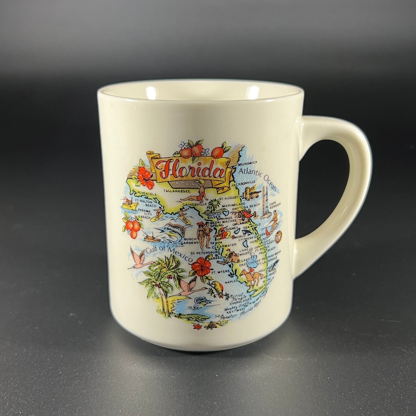 Vintage Florida Map Souvenir Mug