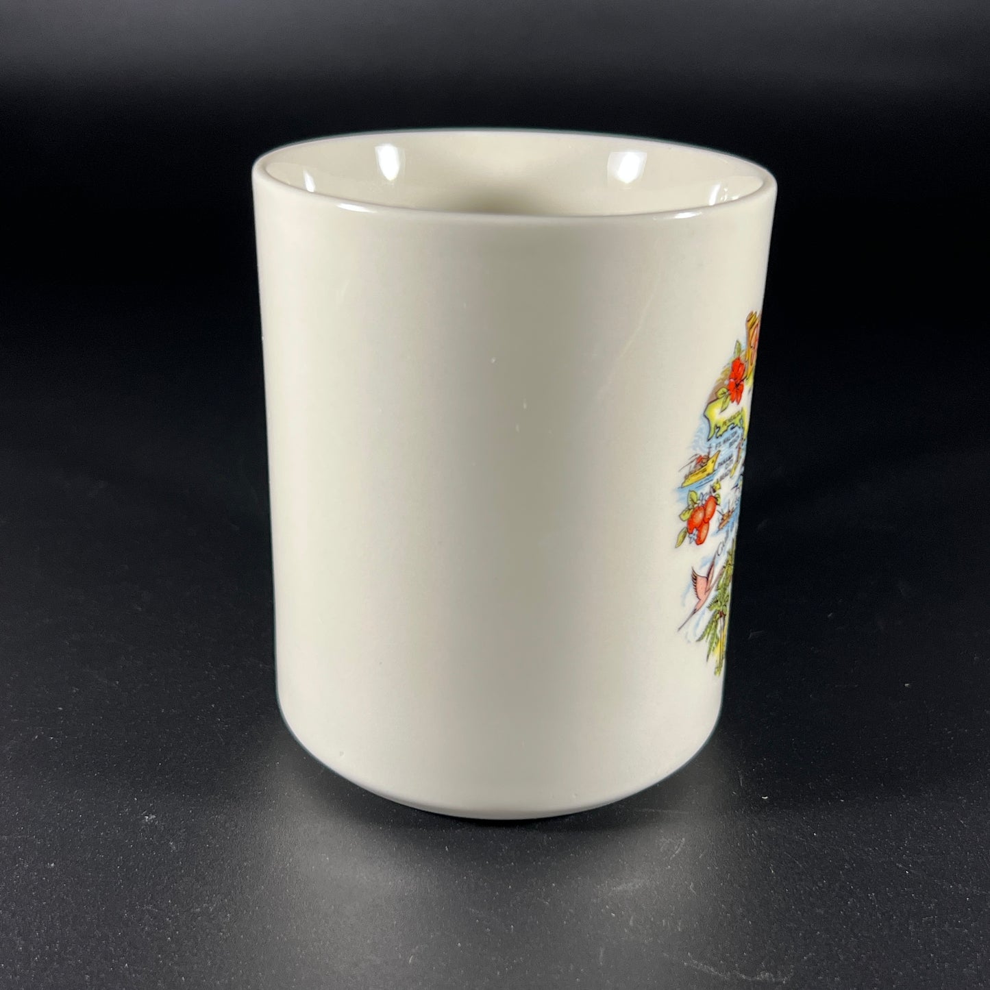 Vintage Florida Map Souvenir Mug