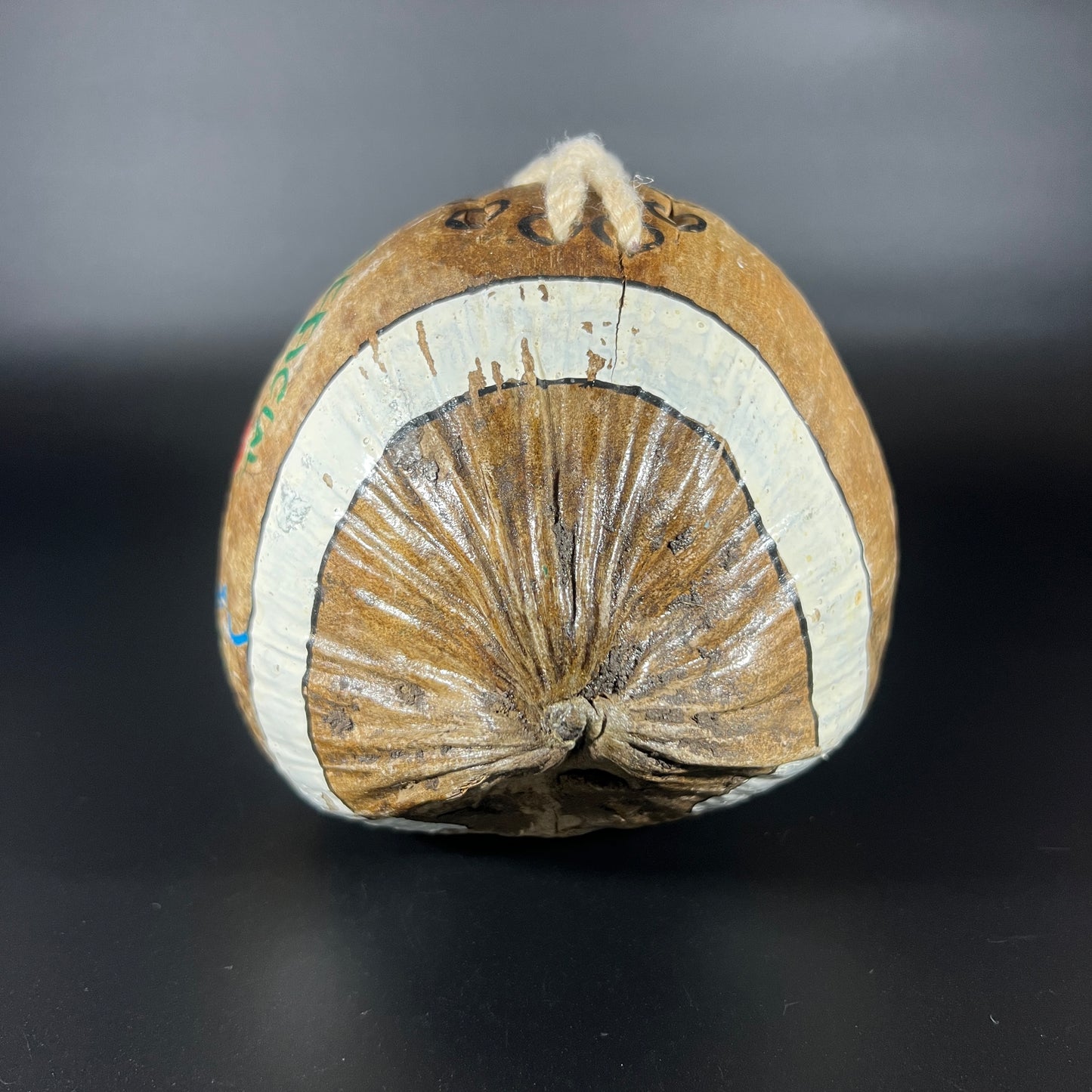 Vintage Hand-Painted Coconut – "Hawaii Official Football"