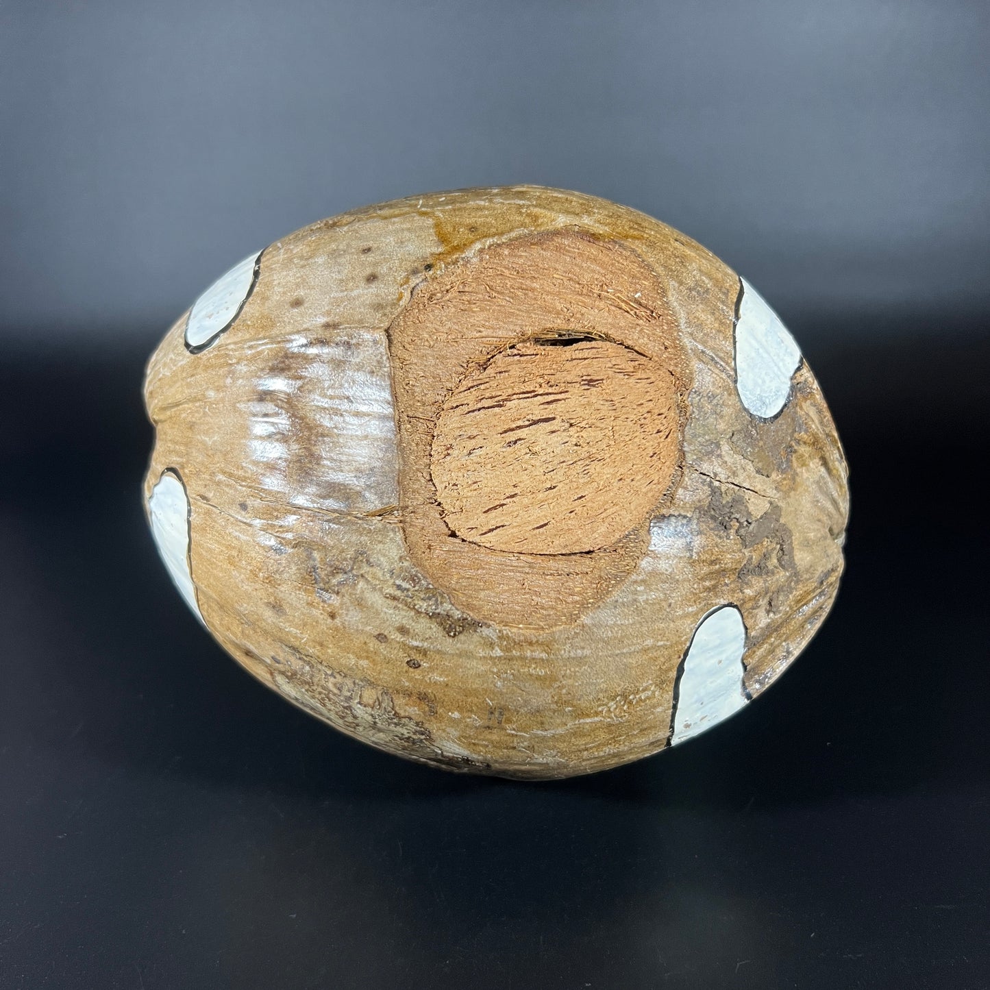 Vintage Hand-Painted Coconut – "Hawaii Official Football"