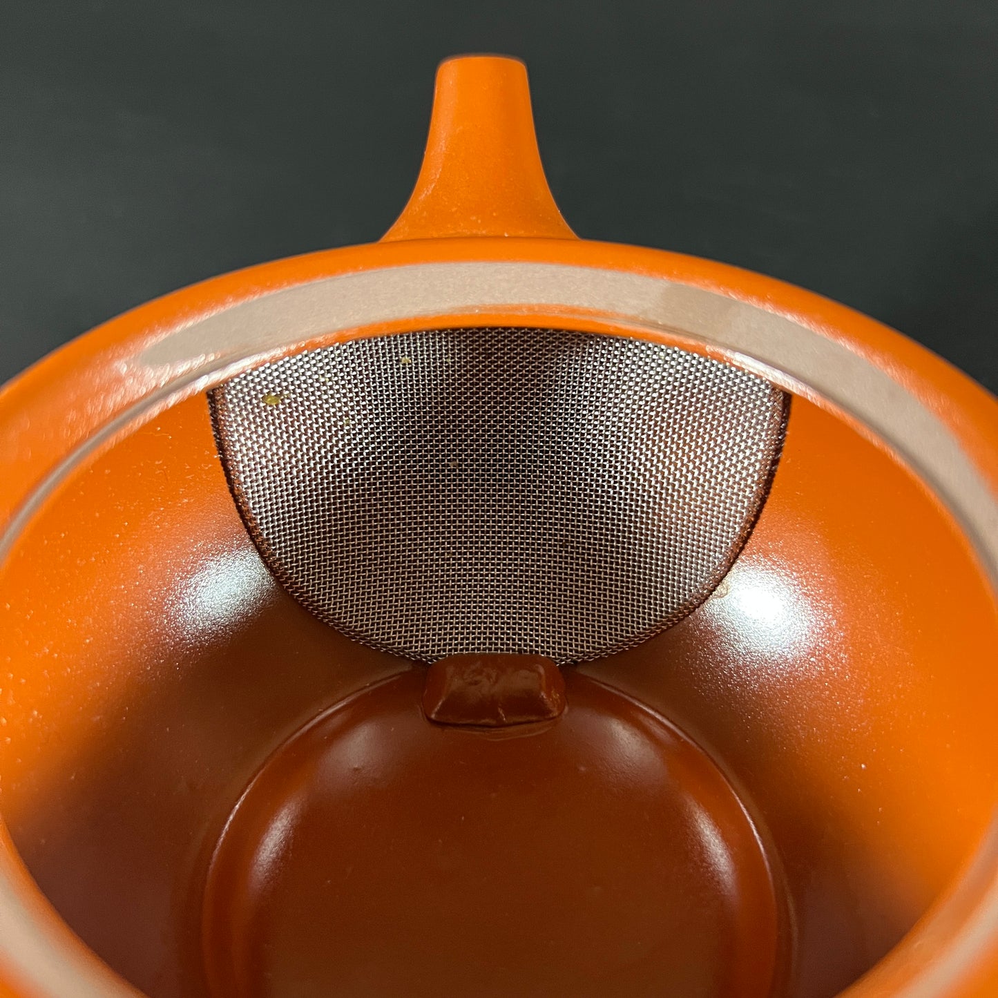 Tokoname Japanese Tea Pot