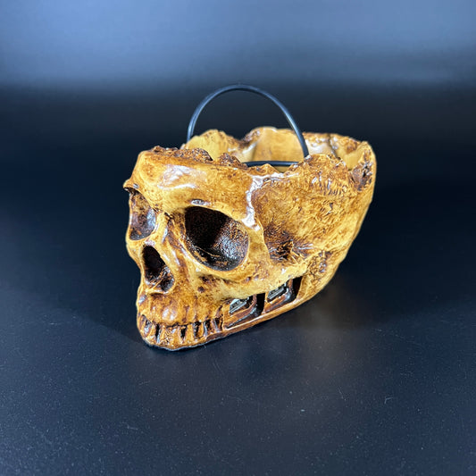 Skull USB Hub