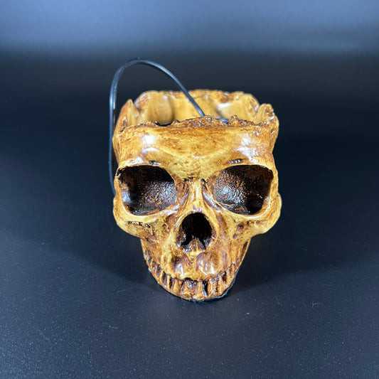 Skull USB Hub