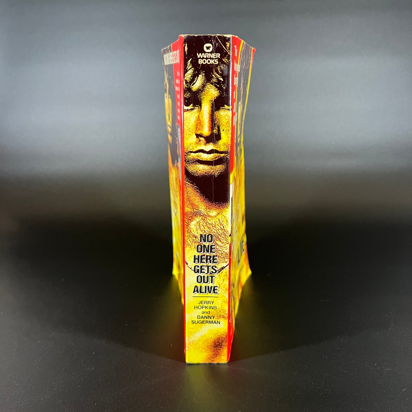 No One Here Gets Out Alive, Jim Morrison Biography