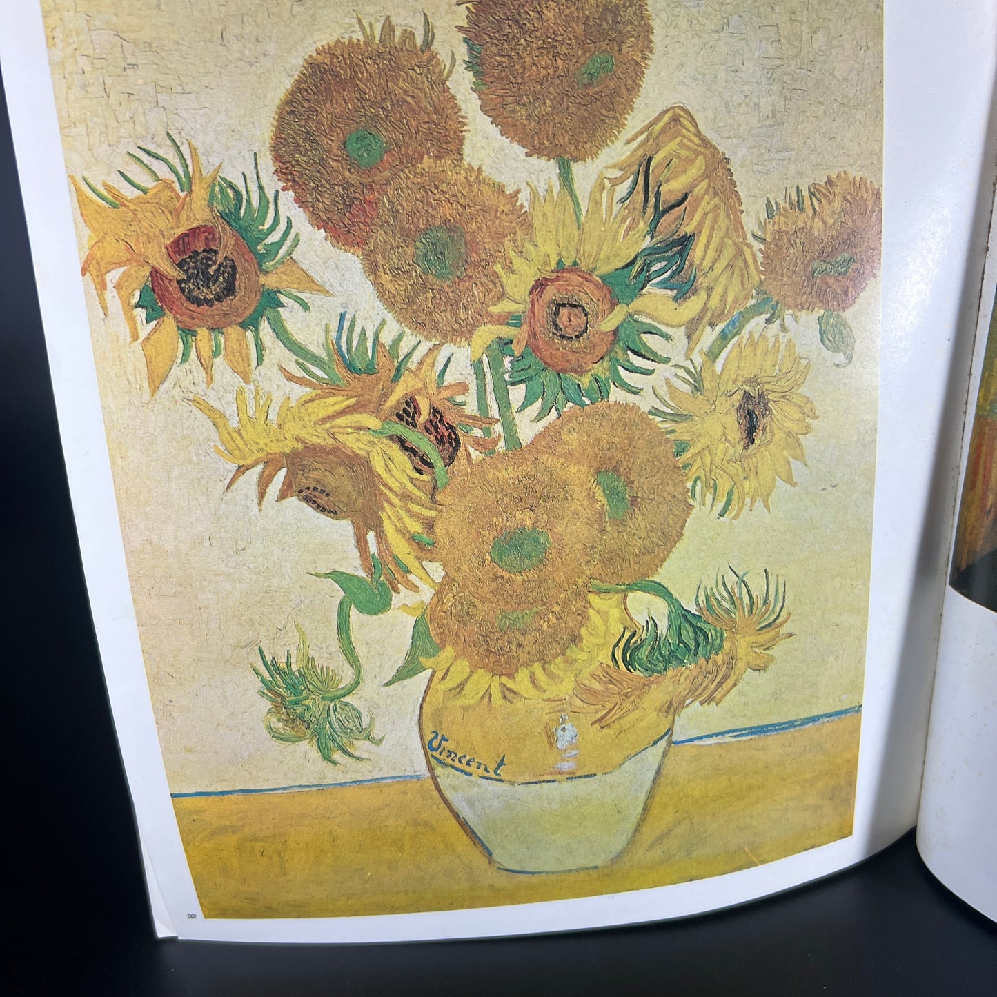 Vincent Van Gogh Book