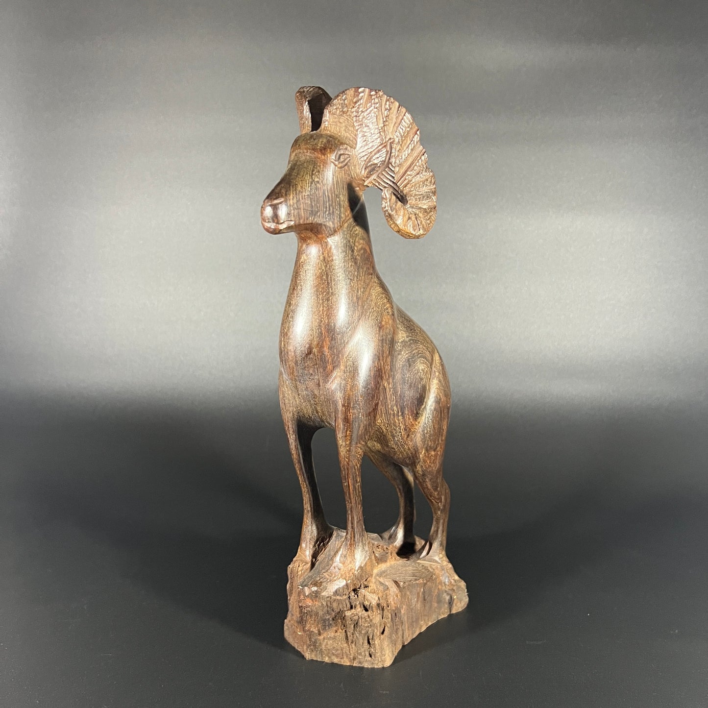 Ironwood Big Horn Ram Carving