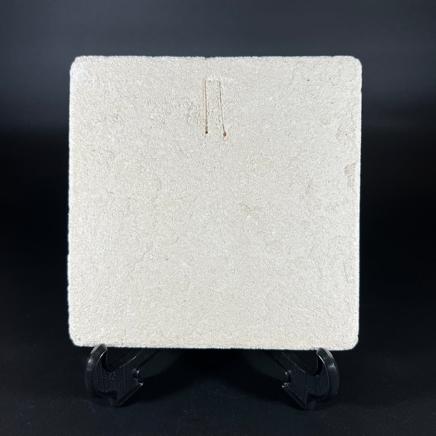 Chaman The Mayan Wizard Stone Decoration