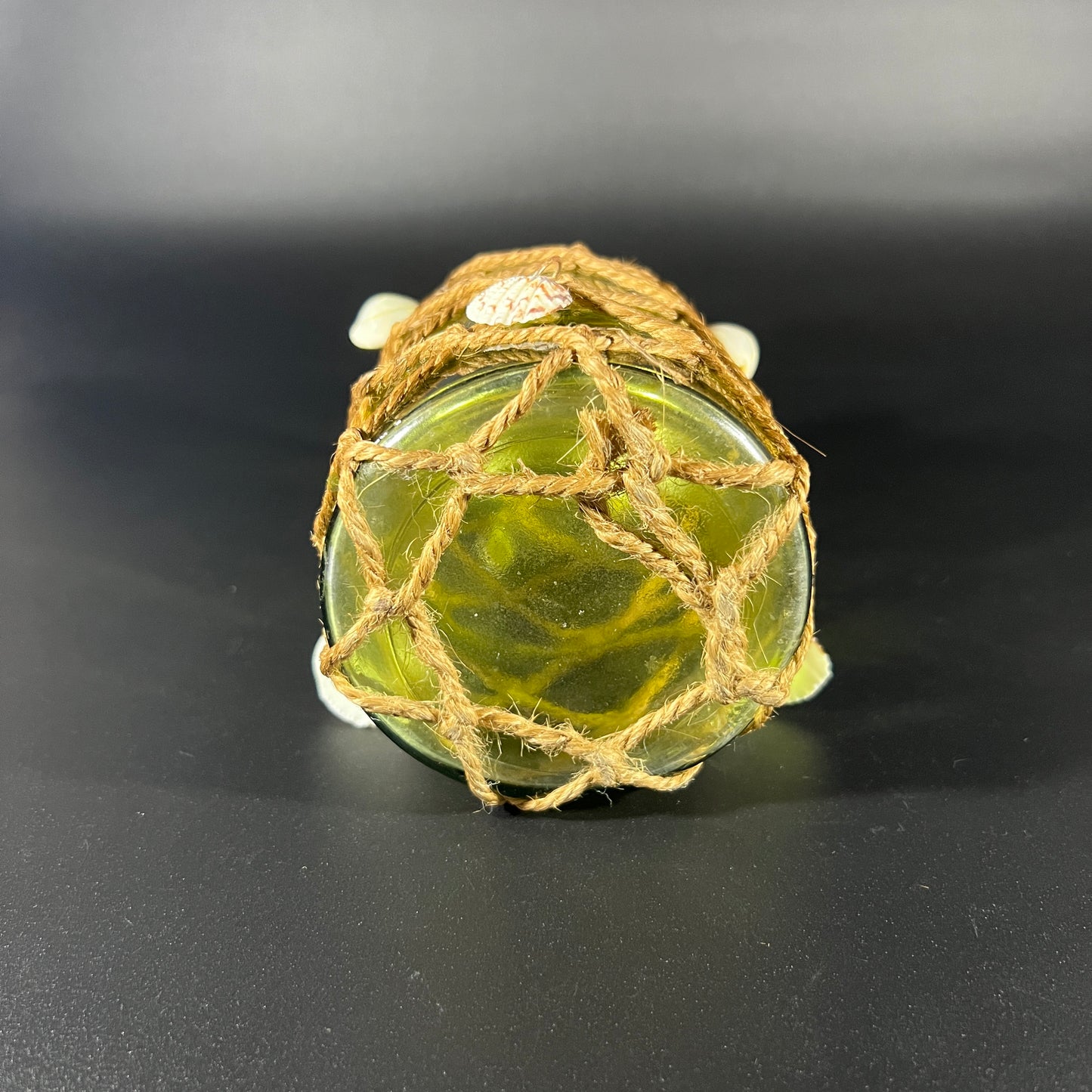 Green Bottle with Net and Shells