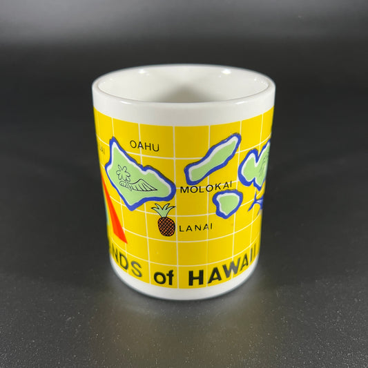 Hawaii Mug