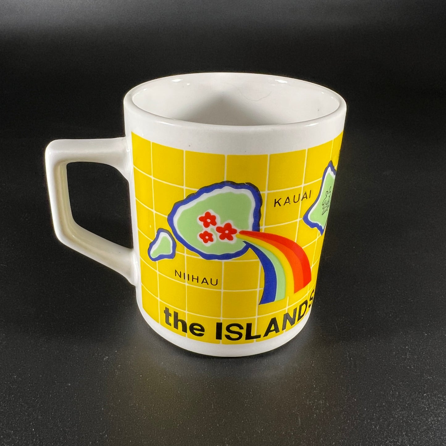 Hawaii Mug