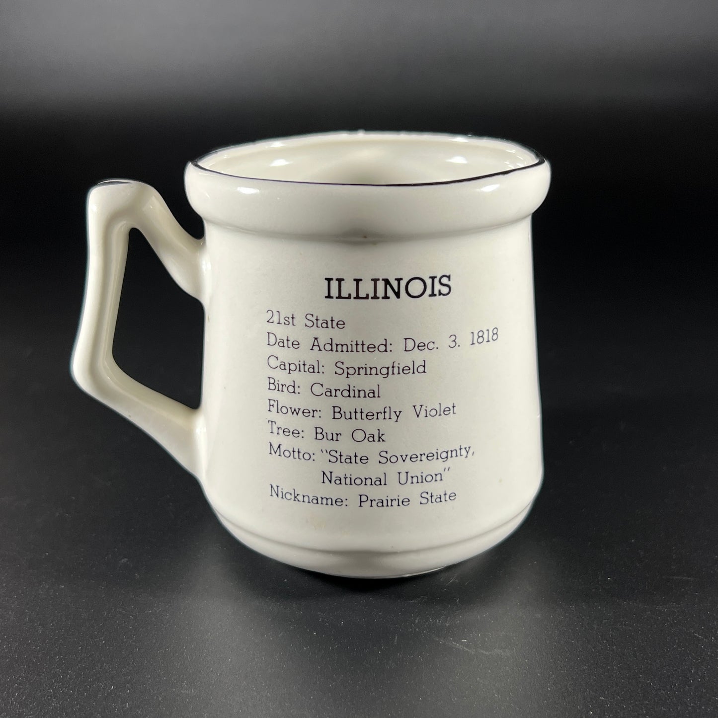 Vintage Souvenir Mug from Illinois