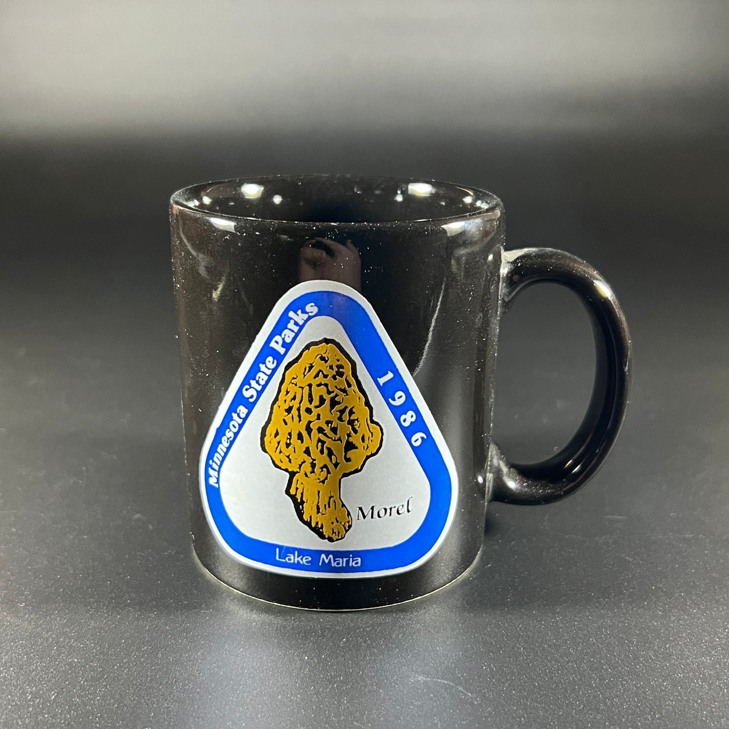 Vintage Minnesota State Park Mushroom Mug