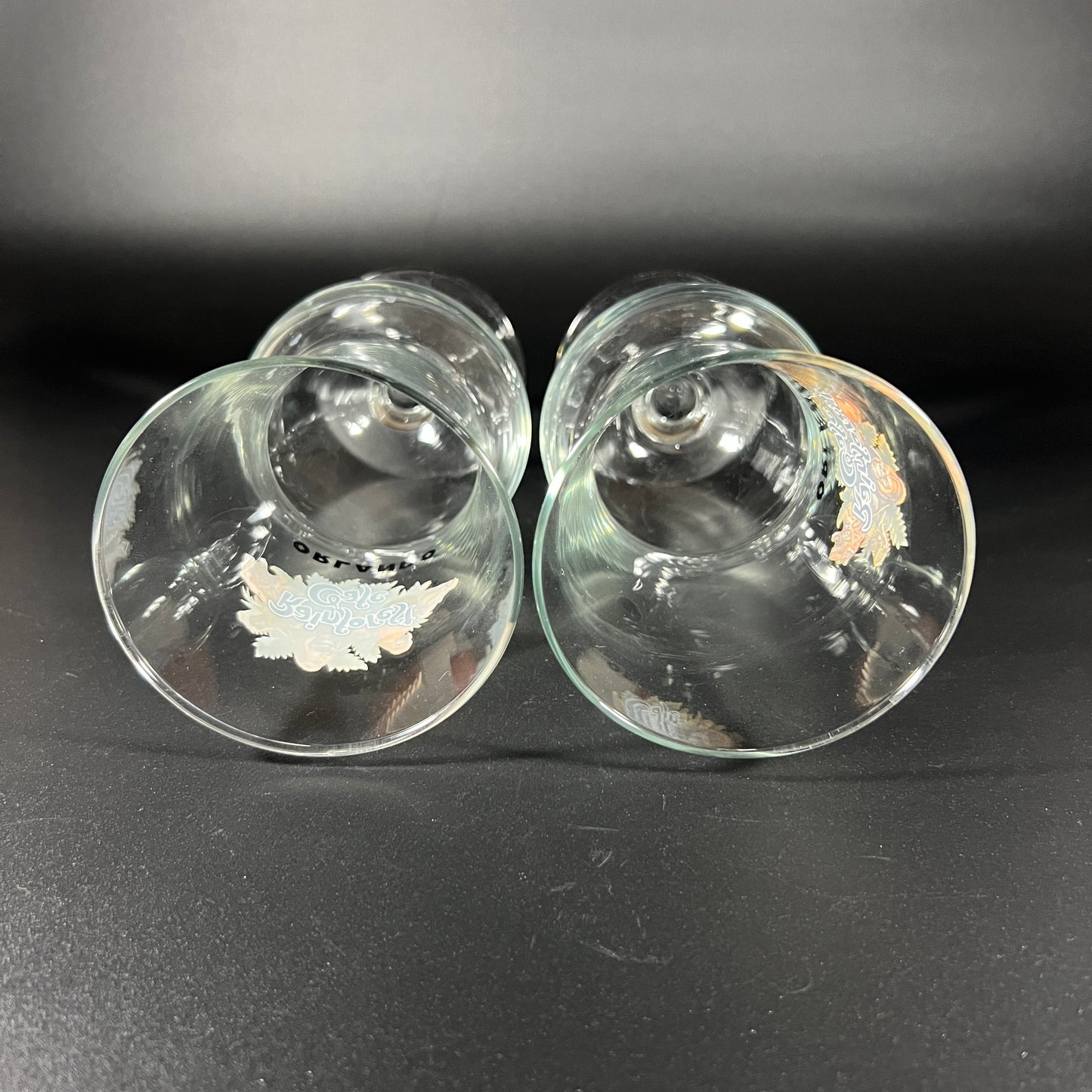 Rainforest Cafe Daiquiri Glass Set of 2 – Orlando, Disney Springs