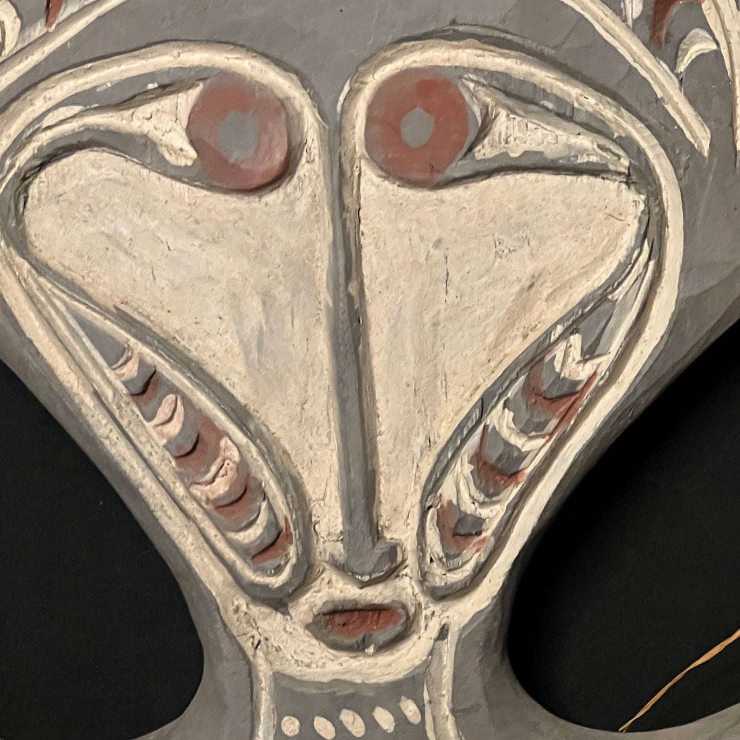 23" Agiba Skull Rack | Kerewa, Papua New Guinea | Ron Perry Provenance
