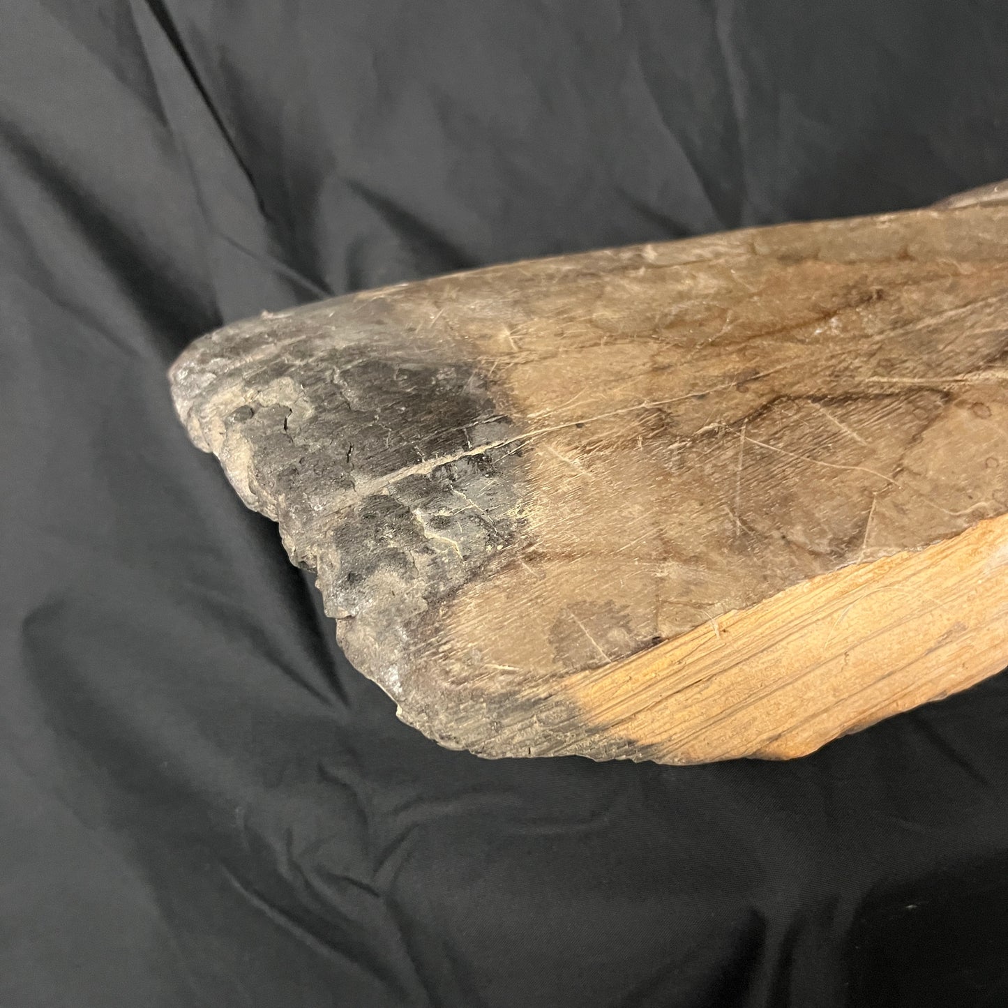 24" Sepik River Crocodile Canoe Prow Ornament | Iatmul, Papua New Guinea | Ron Perry Provenance