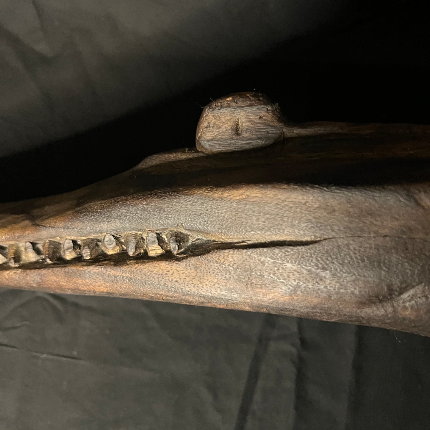 16" Sepik River Crocodile Canoe Prow | Iatmul, Papua New Guinea | Ron Perry Provenance