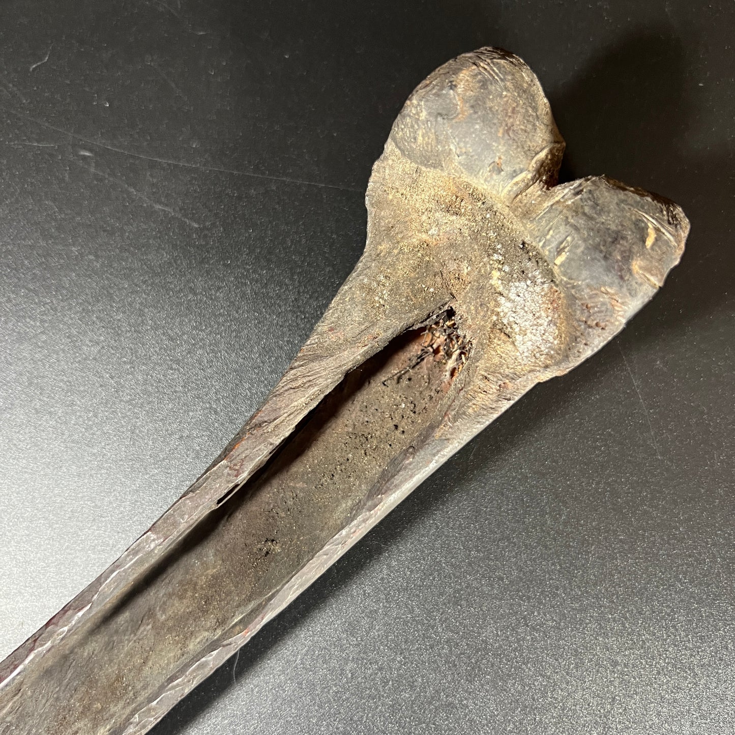 14.25" Middle Sepik River Ancestral Bone Dagger | Iatmul, Papua New Guinea | Ron Perry Provenance