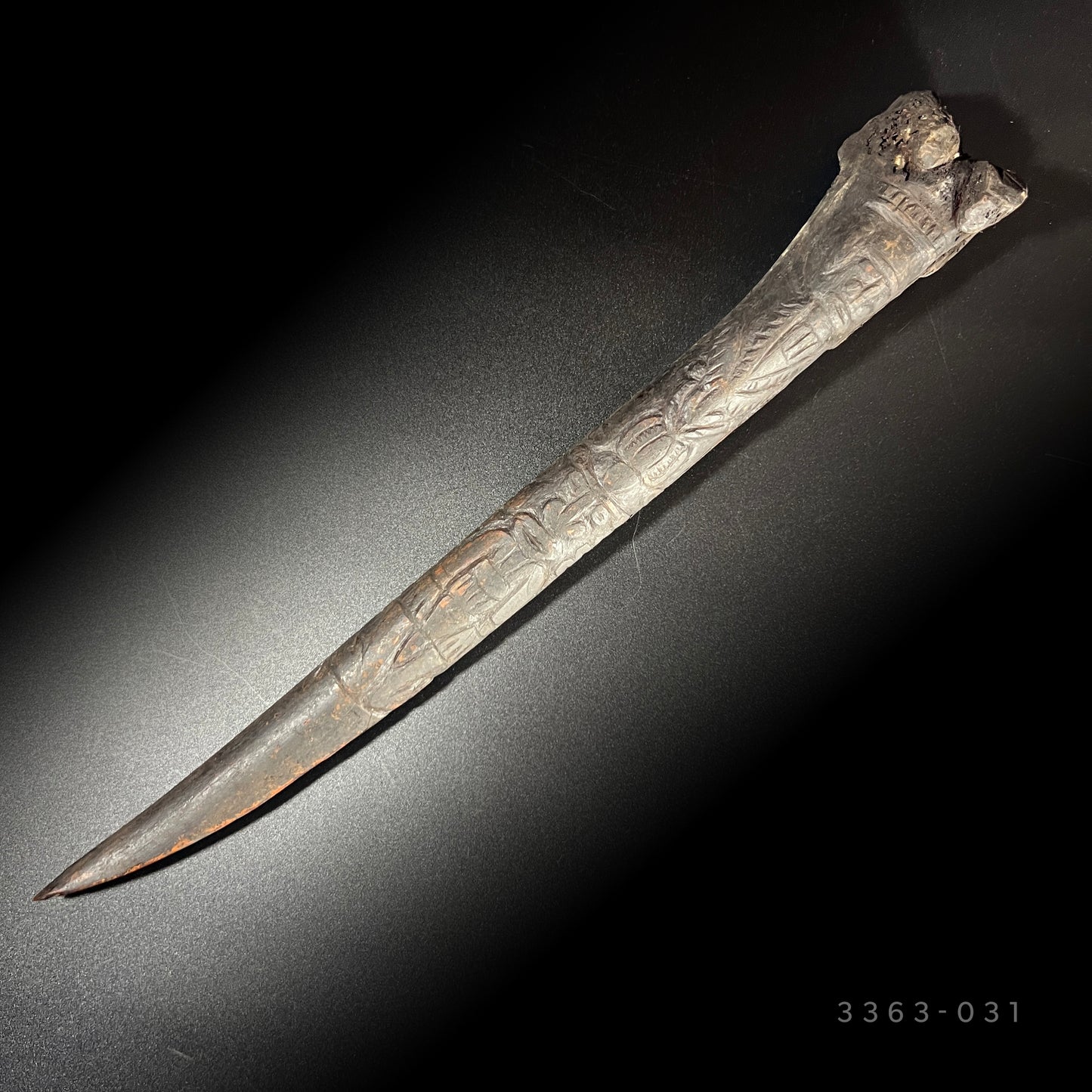 13" Long Sepik River Ancestral Cassowary Bone Dagger | Abelam / Kwanga, Papua New Guinea | Ron Perry Provenance