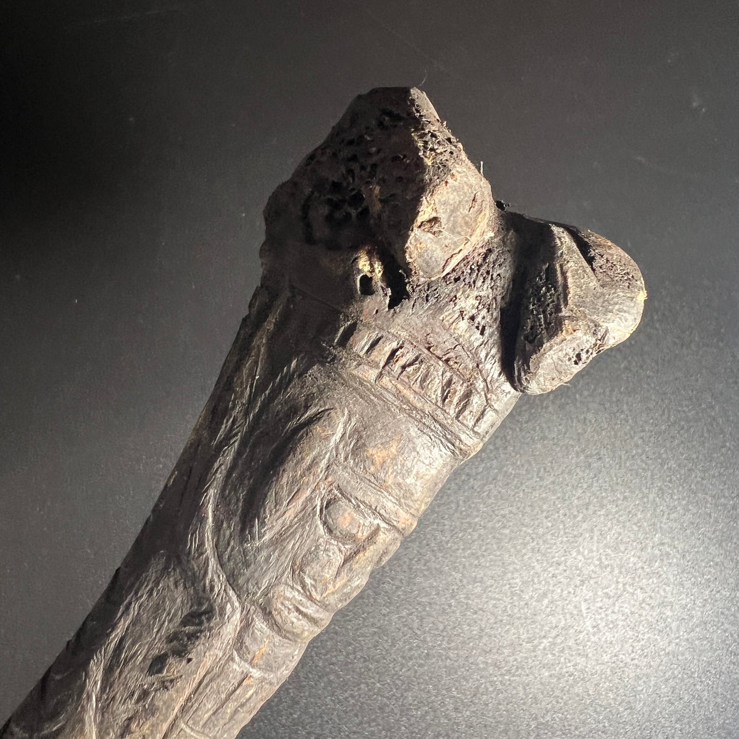 13" Long Sepik River Ancestral Cassowary Bone Dagger | Abelam / Kwanga, Papua New Guinea | Ron Perry Provenance