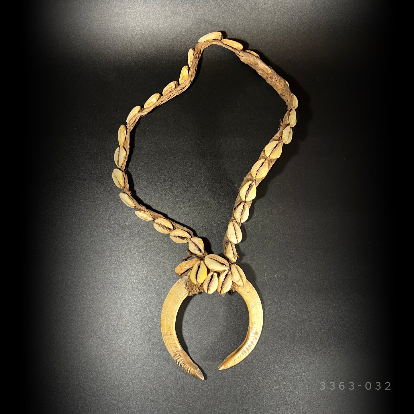 Ceremonial Boar Tusk & Cowrie Shell Necklace | Sepik River, Papua New Guinea | Tribal Adornment