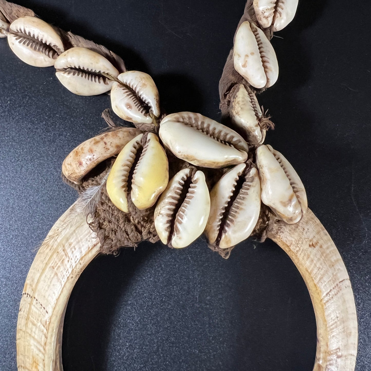 Ceremonial Boar Tusk & Cowrie Shell Necklace | Sepik River, Papua New Guinea | Tribal Adornment