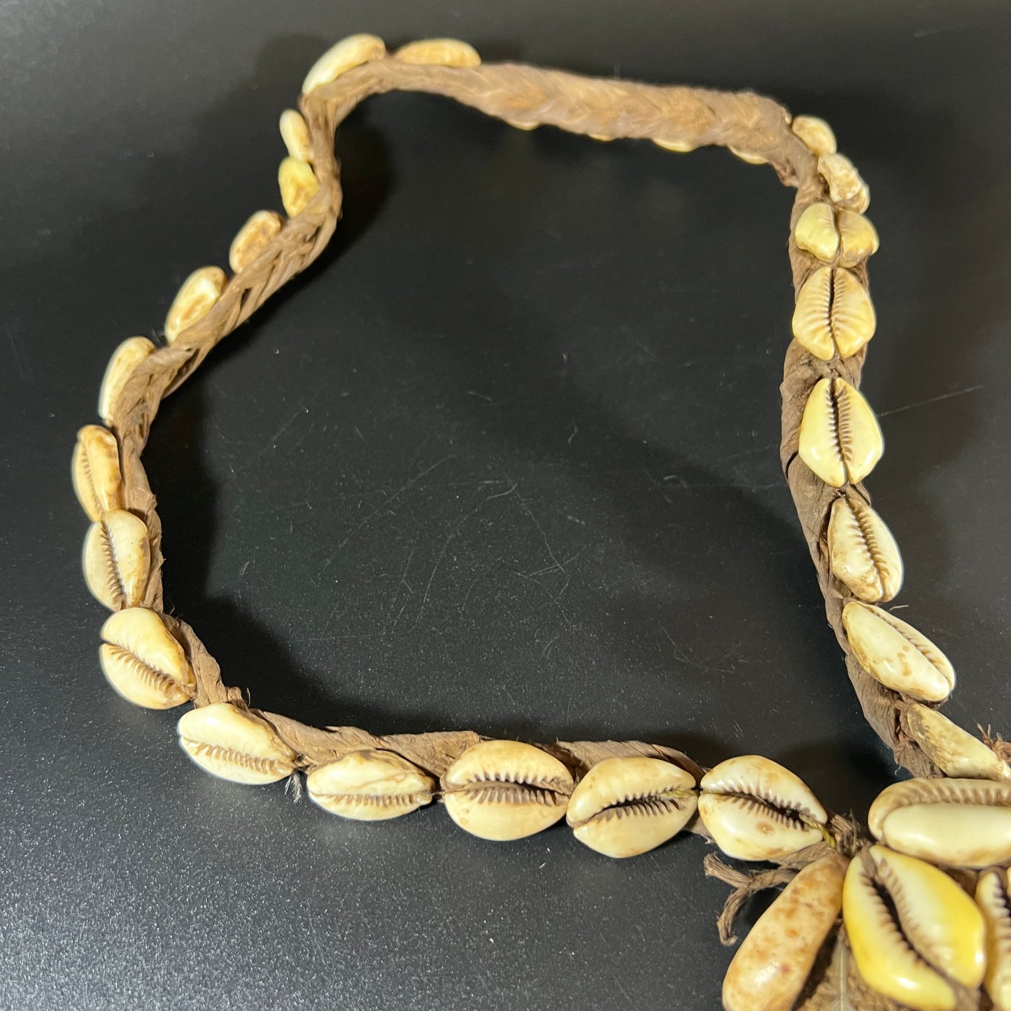 Ceremonial Boar Tusk & Cowrie Shell Necklace | Sepik River, Papua New Guinea | Tribal Adornment