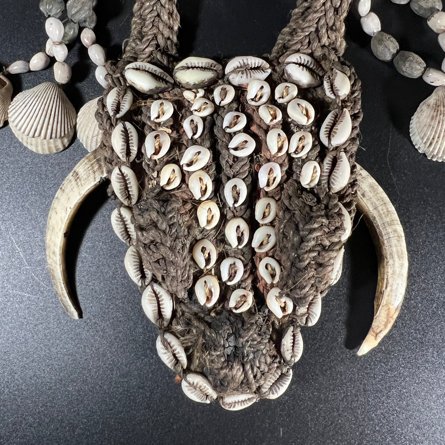 Karahut Ceremonial Headhunter’s Boar Tusk Ornament | Abelam or Sepik River, Papua New Guinea | Tribal Art