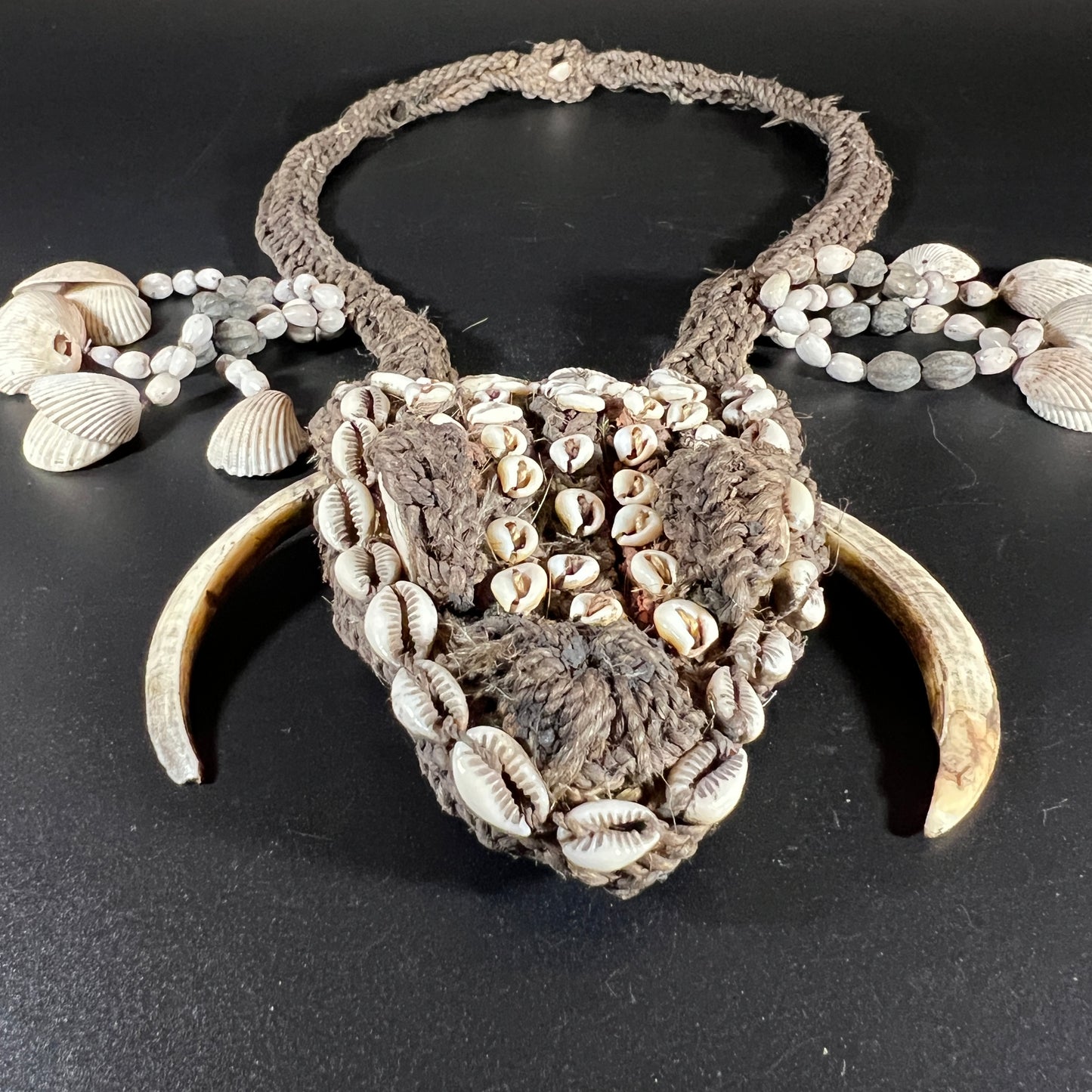 Karahut Ceremonial Headhunter’s Boar Tusk Ornament | Abelam or Sepik River, Papua New Guinea | Tribal Art
